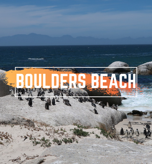 Boulders Beach